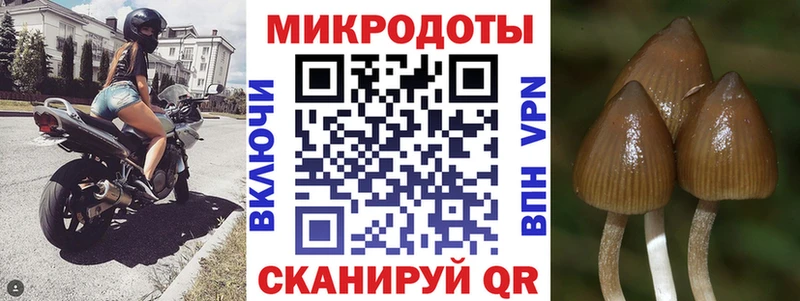 Псилоцибиновые грибы прущие грибы  Отрадное 