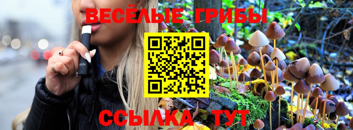 Отрадное  Марихуана  COCAIN  Меф МЯУ МЯУ кристаллы  ЭКСТАЗИ  ГАШИШ  Вход с VPN  МЕФ 