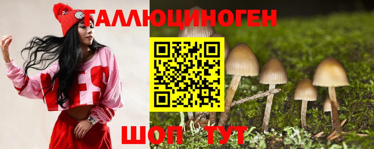 Псилоцибиновые грибы Magic Shrooms  Вход с VPN  Отрадное 